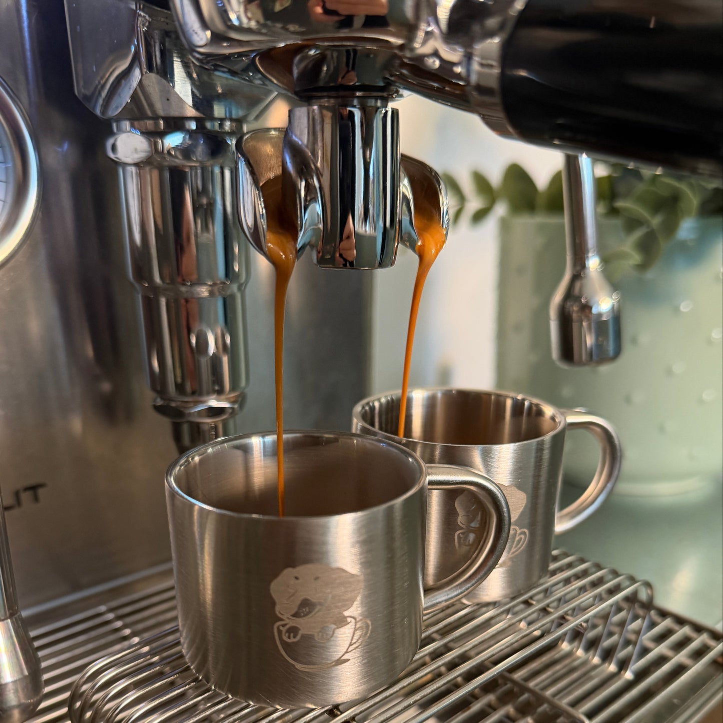 Bodos Blend Espresso