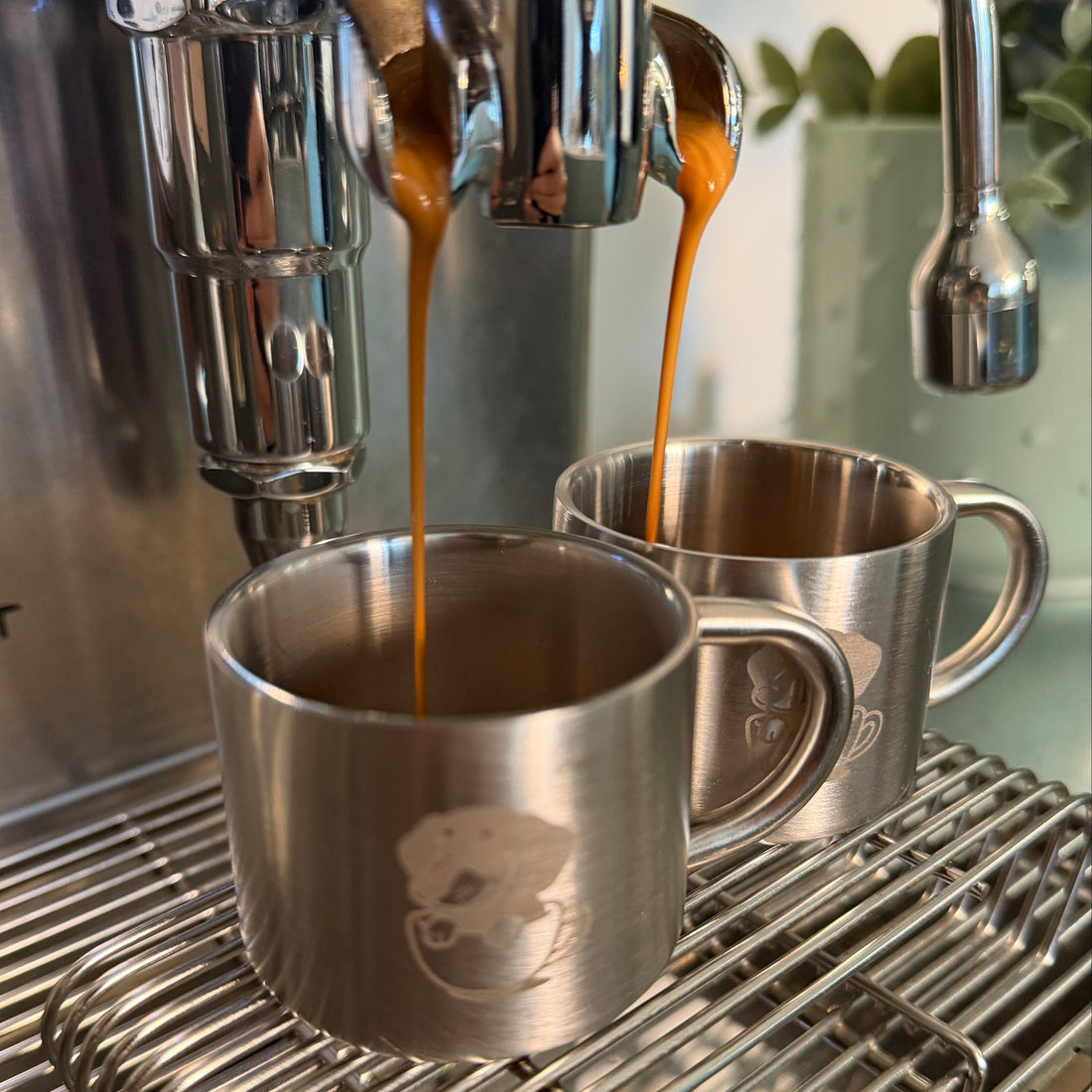 Kaffee-Mythen im Check: Macht Espresso wirklich wacher als Filterkaffee?